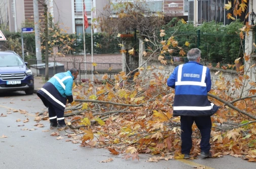 HENDEK’TE DAL BUDAMA VE TEMİZLİK ÇALIŞMALARI DEVAM EDİYOR
