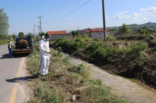 HENDEK BELEDİYESİ’NDEN LARVA İLE ETKİN MÜCADELE