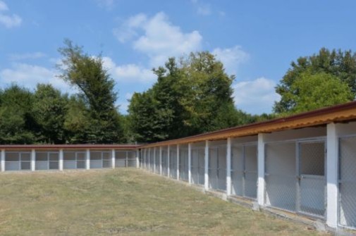 ONLARIN DA BİR YUVASI VAR